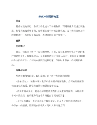 年末冲刺调研方案