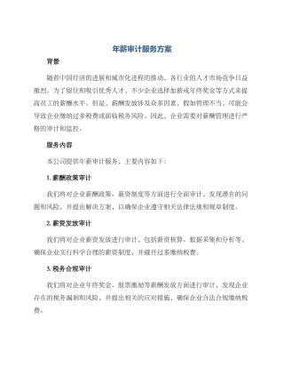 年薪审计服务方案