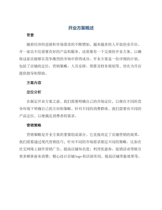 开业方案概述
