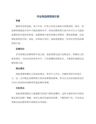 开业用品牌营销方案