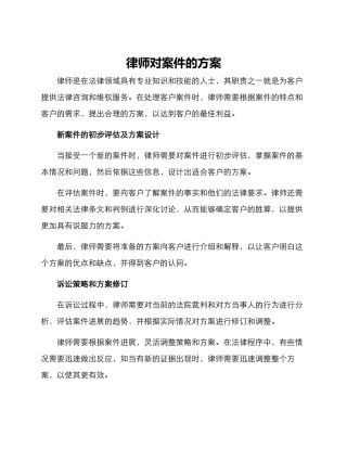 律师对案件的方案