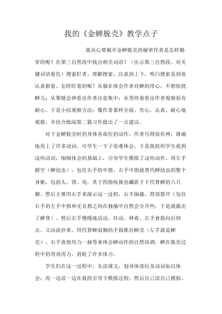 我的《金蝉脱壳》教学点子