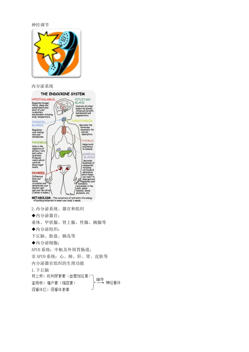 执业医师-内分泌及代谢性疾病概述_第2页