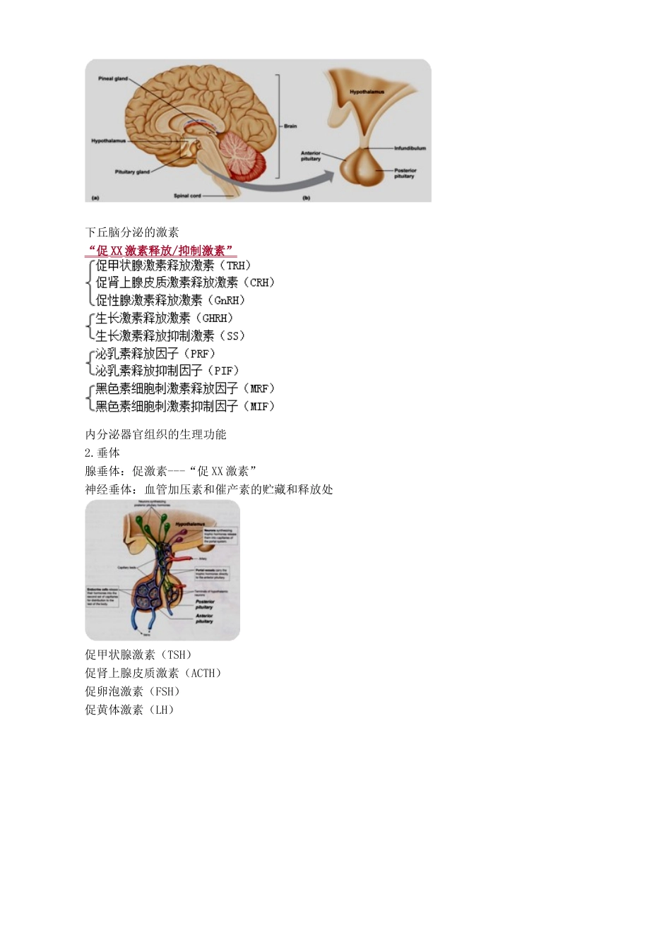 执业医师-内分泌及代谢性疾病概述_第3页