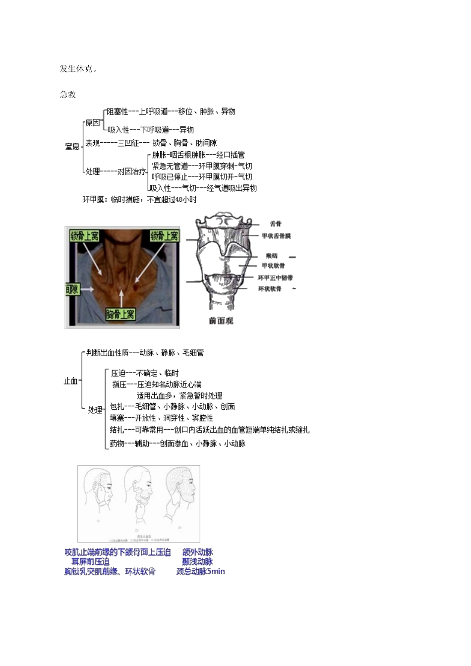 执业医师-口腔颌面部创伤_第2页