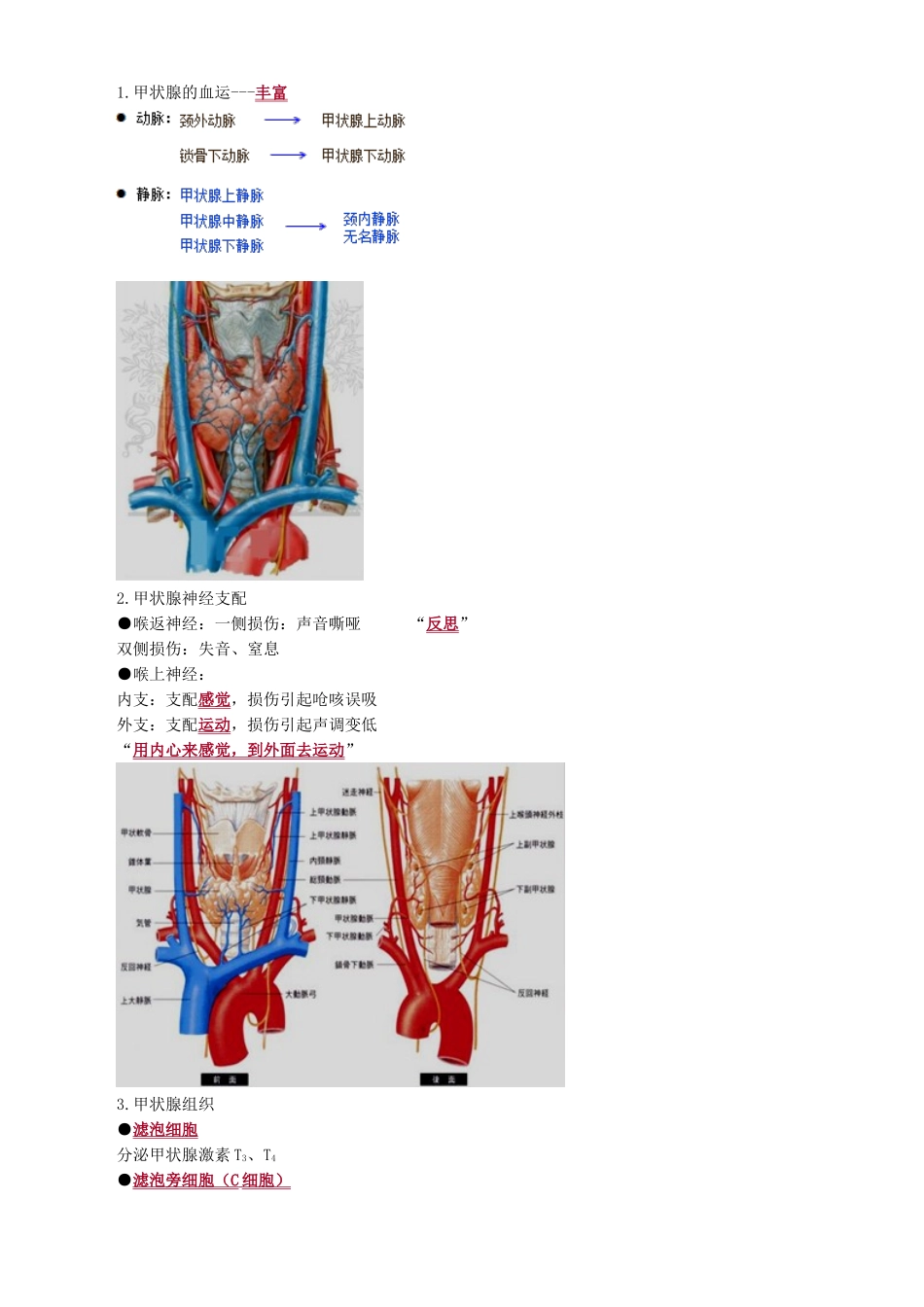 执业医师-甲状腺疾病_第2页