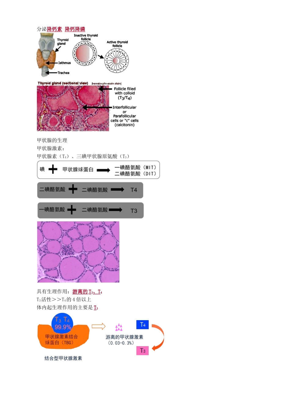 执业医师-甲状腺疾病_第3页
