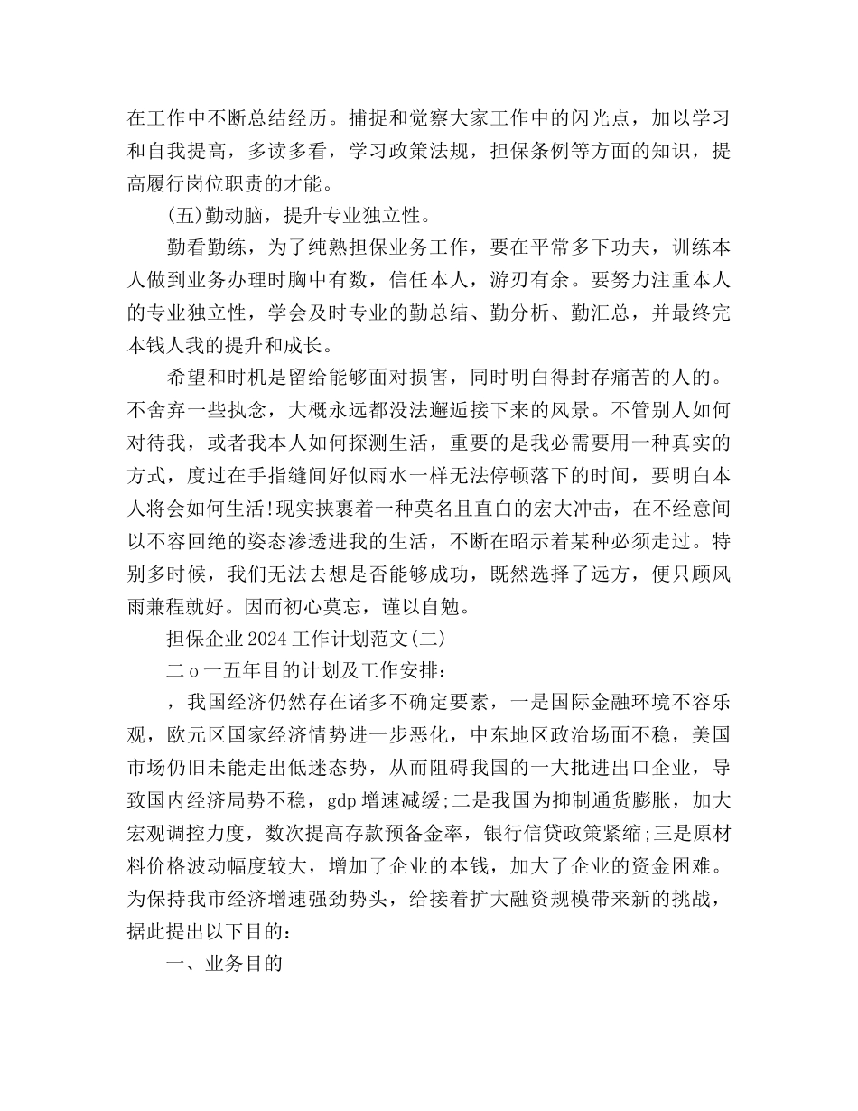 担保企业工作计划_第2页