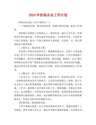 担保企业工作计划