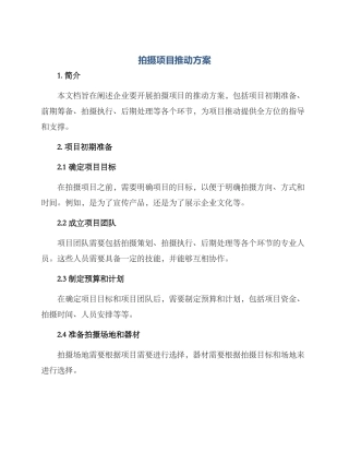 拍摄项目推进方案
