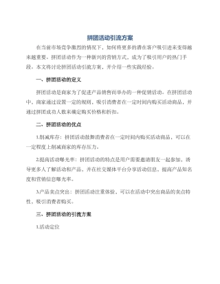 拼团活动引流方案