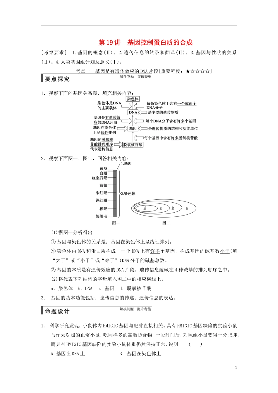【步步高】2015届高考生物一轮复习 第六单元 第19讲 基因控制蛋白质的合成教学案 苏教版 _第1页