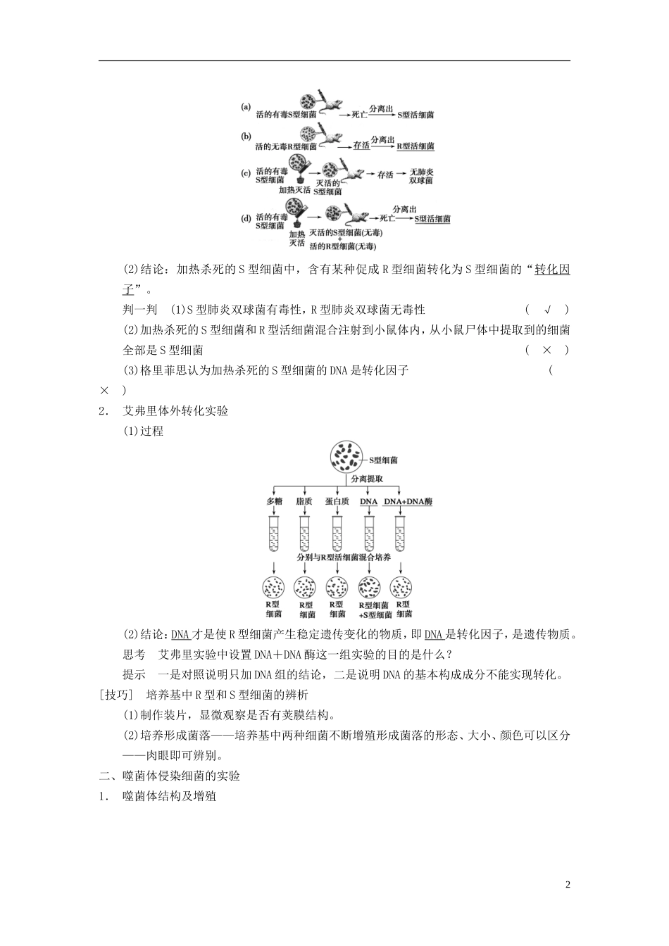 【步步高】（广东专用）2014高考生物一轮复习 第六单元 第18讲DNA是主要的遗传物质学案 新人教版_第2页