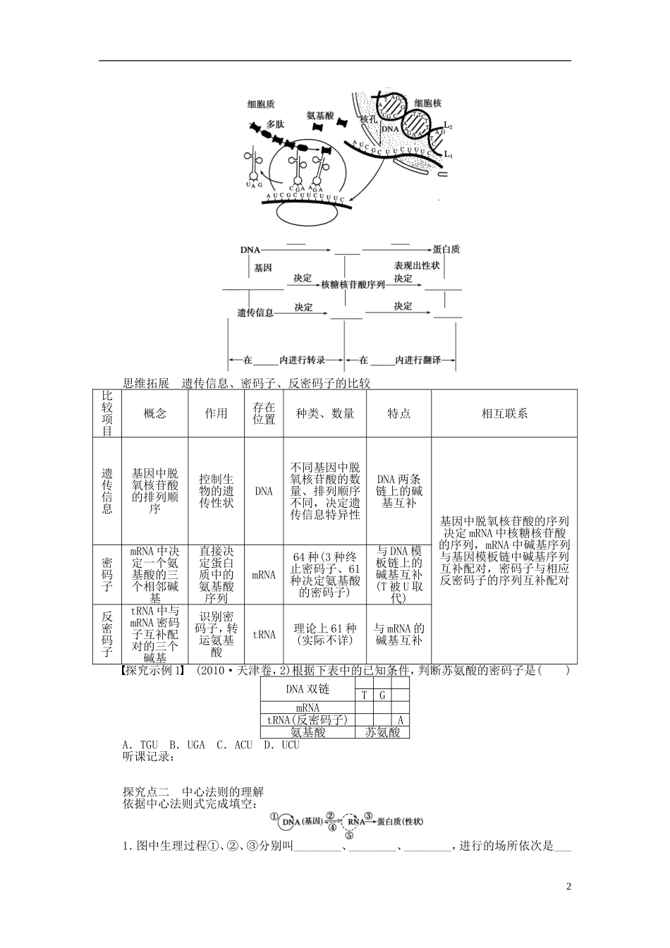 【步步高】2015届高考生物一轮复习 第六单元 第25讲 基因指导蛋白质的合成及对性状的控制学案 苏教版_第2页