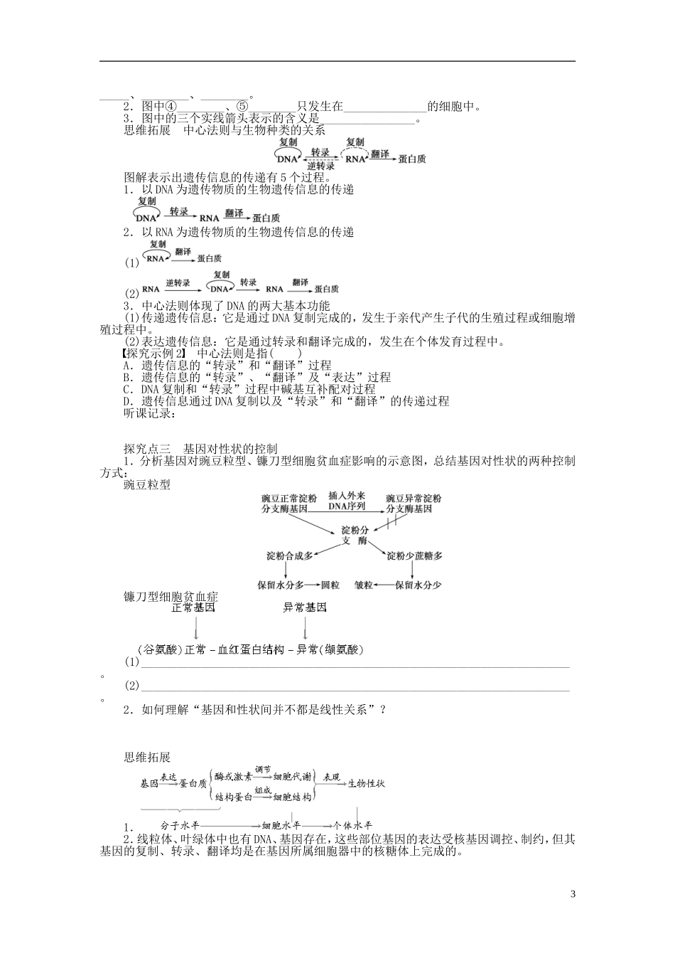 【步步高】2015届高考生物一轮复习 第六单元 第25讲 基因指导蛋白质的合成及对性状的控制学案 苏教版_第3页