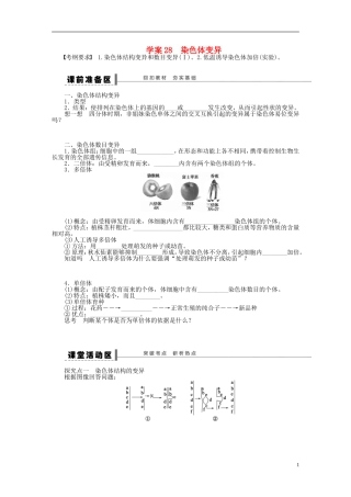 【步步高】2015届高考生物一轮复习 第七单元 第28讲 染色体变异学案 苏教版
