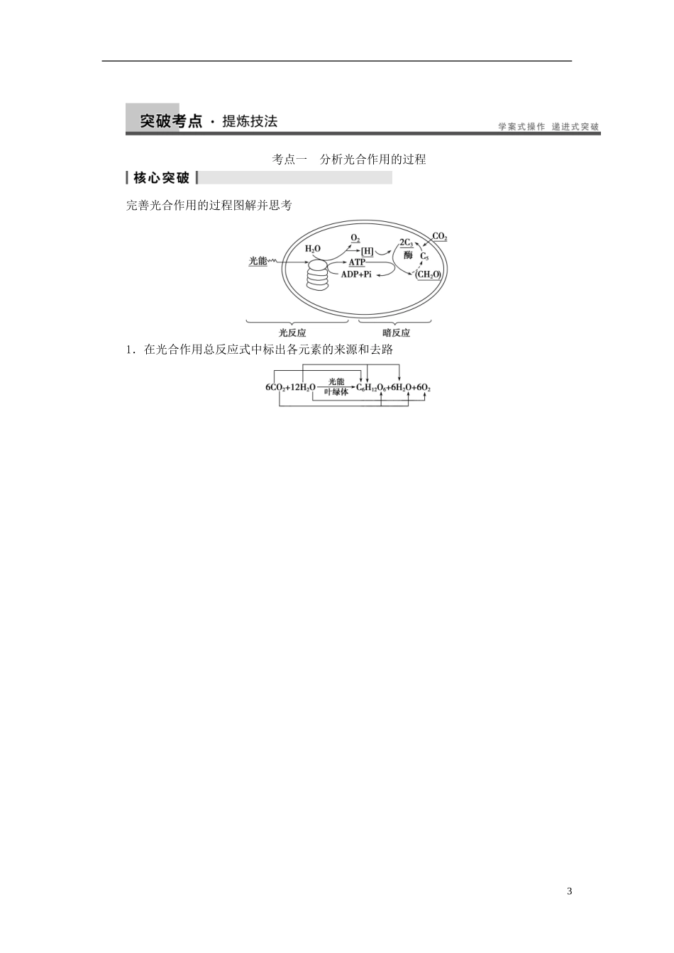 【步步高】（广东专用）2014高考生物一轮复习 第三单元 第11讲能量之源光与光合作用学案 新人教版_第3页