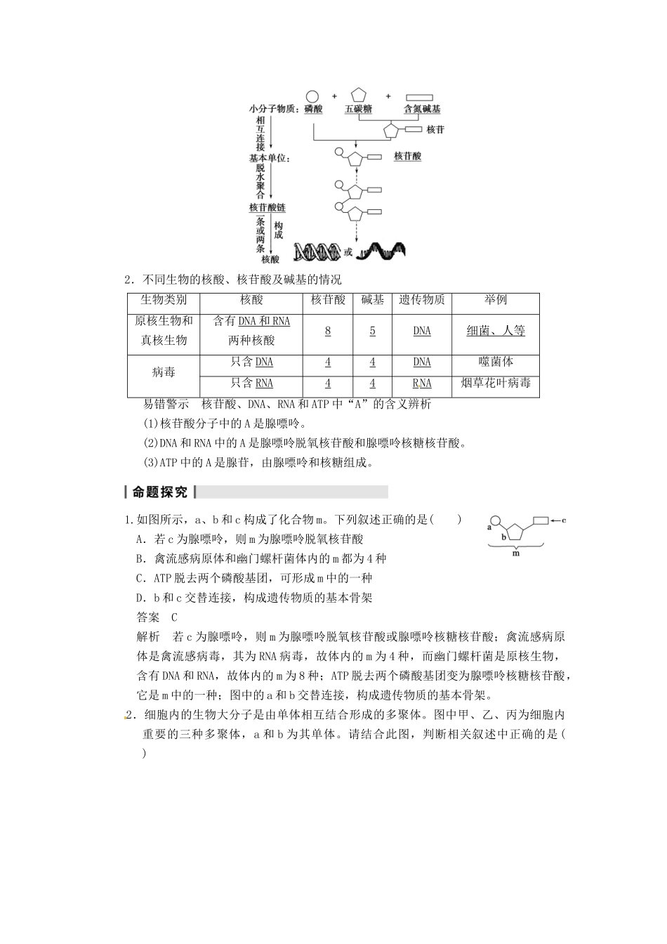 【步步高】2014届高考生物一轮（回扣基础+核心突破+命题探究）1.4核酸、细胞中的糖类和脂质教学案 新人教版_第3页