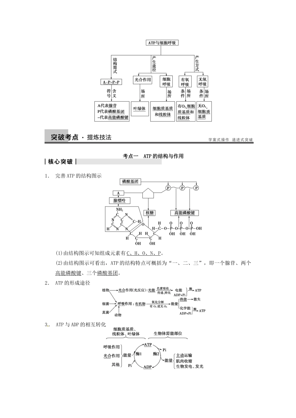 【步步高】2014届高考生物一轮（回扣基础+核心突破+命题探究）3.10ATP、细胞呼吸教学案 新人教版_第3页
