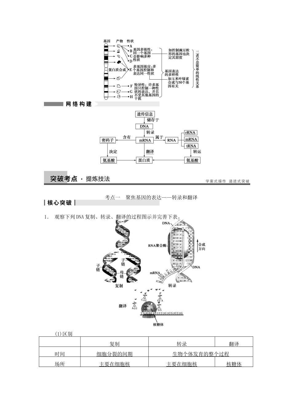 【步步高】2014届高考生物一轮（回扣基础+核心突破+命题探究）6.20基因的表达教学案 新人教版_第3页