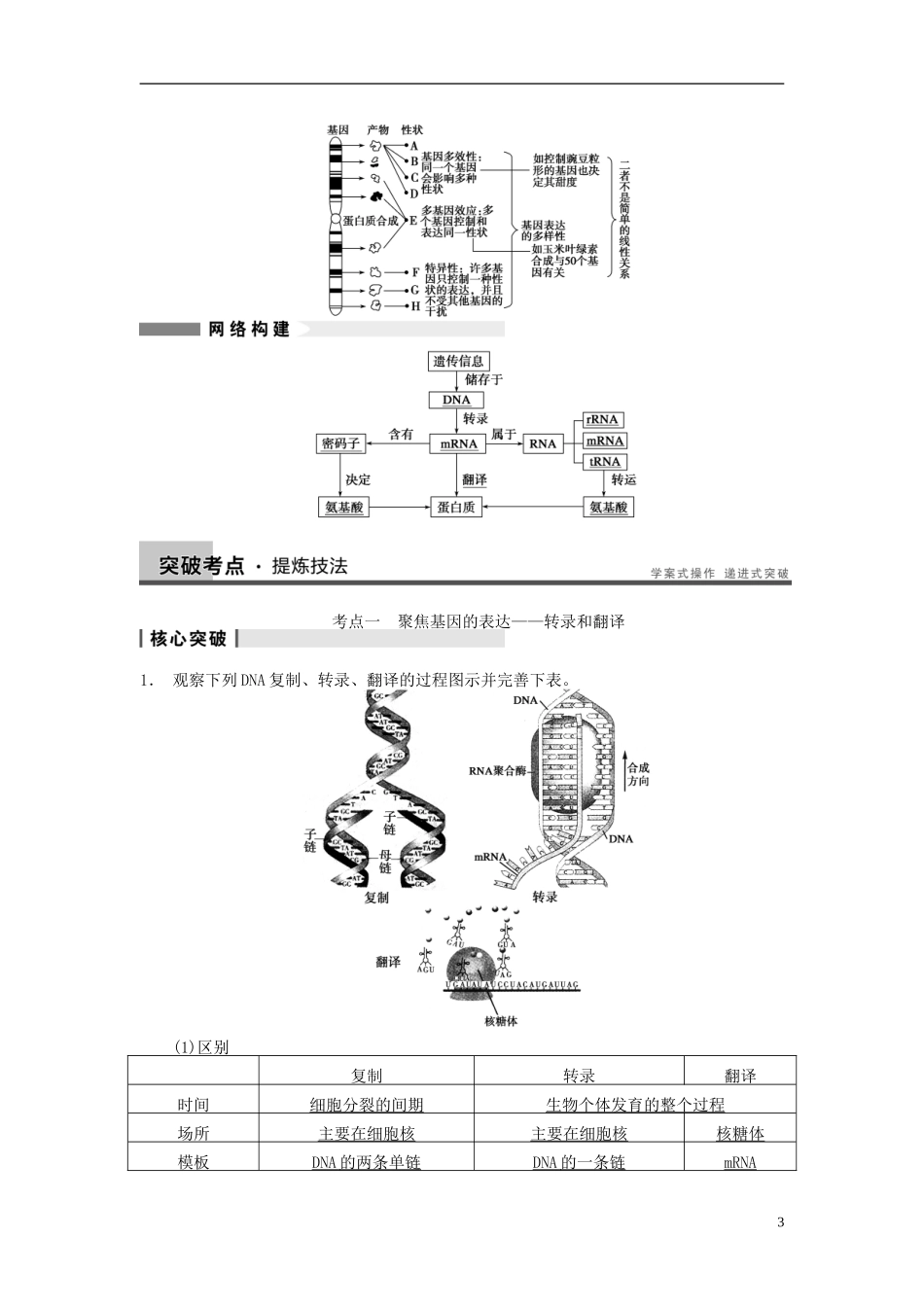 【步步高】（四川专用）2014高考生物一轮复习 第六单元 遗传的物质基础 第20讲基因的表达学案_第3页