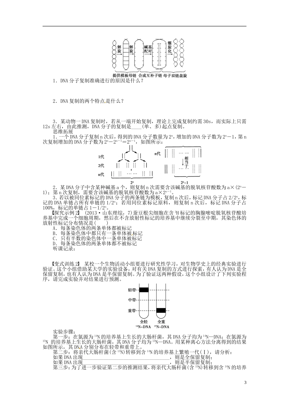 【步步高】2014届高考生物一轮复习(课前准备+课堂巩固+课后练习)第六单元 DNA分子的结构学案 鲁科版_第3页