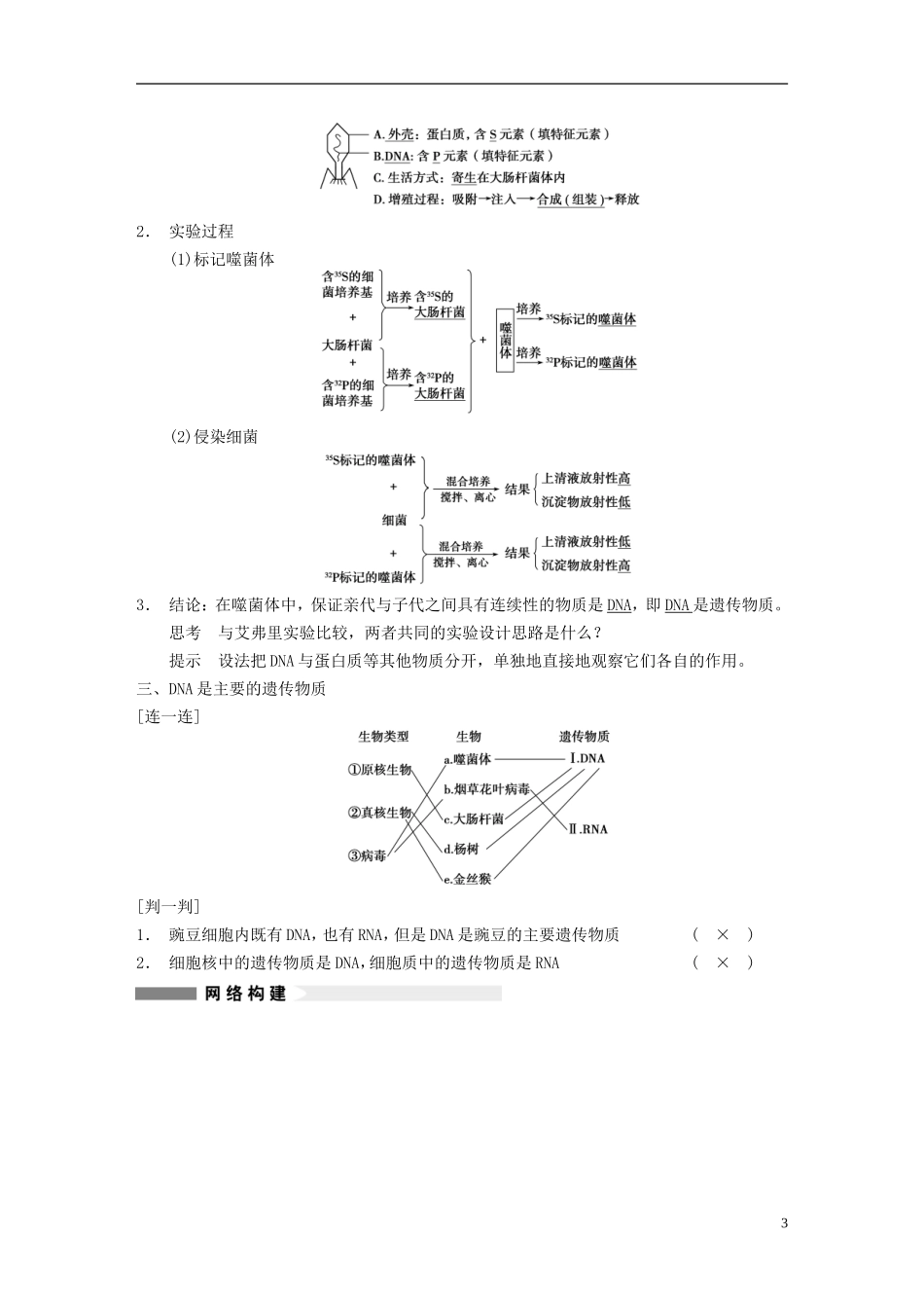 【步步高】（江苏专用）2014高考生物一轮复习（考点复习精练+热点聚焦+考能专项突破）第六单元 第18讲DNA是主要的遗传物质学案_第3页