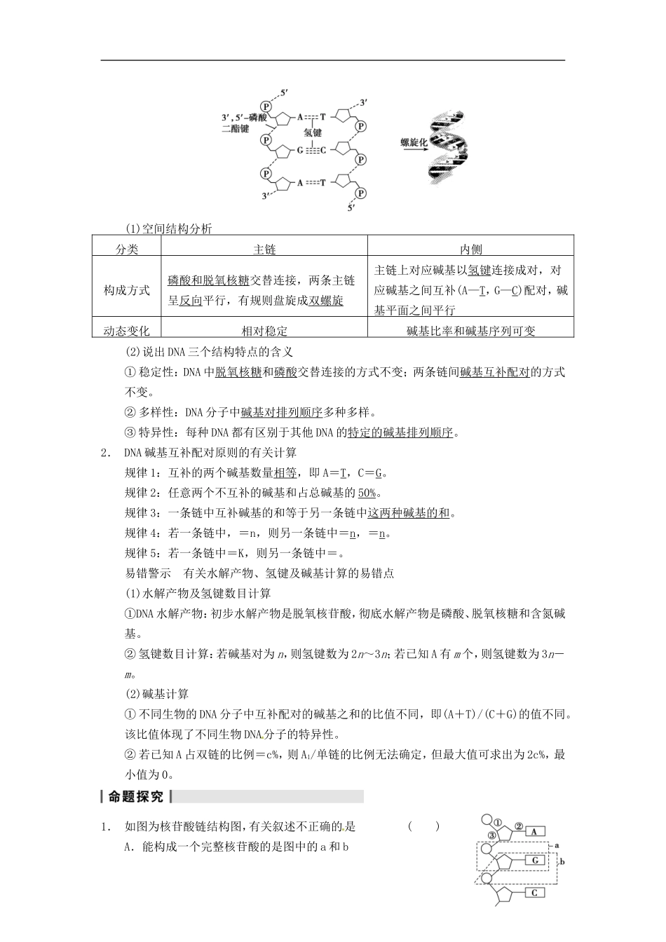 【步步高】（江苏专用）2014高考生物一轮复习（考点复习精练+热点聚焦+考能专项突破）第六单元 第19讲DNA分子的结构、复制及基因是有遗传效应的DNA片段有遗传效应的DNA片段学案_第3页