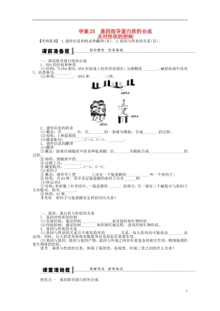 【步步高】2014届高考生物一轮复习(课前准备+课堂巩固+课后练习)第六单元 基因指导蛋白质的合成学案 鲁科版