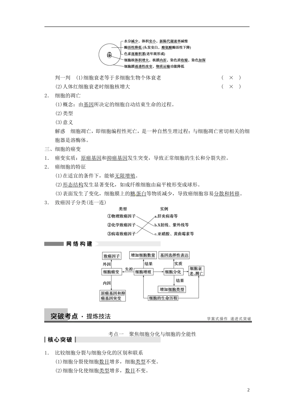 【步步高】（江苏专用）2014高考生物一轮复习（考点复习精练+热点聚焦+考能专项突破）第四单元 第13讲细胞的分化、衰老、凋亡及癌变学案_第2页