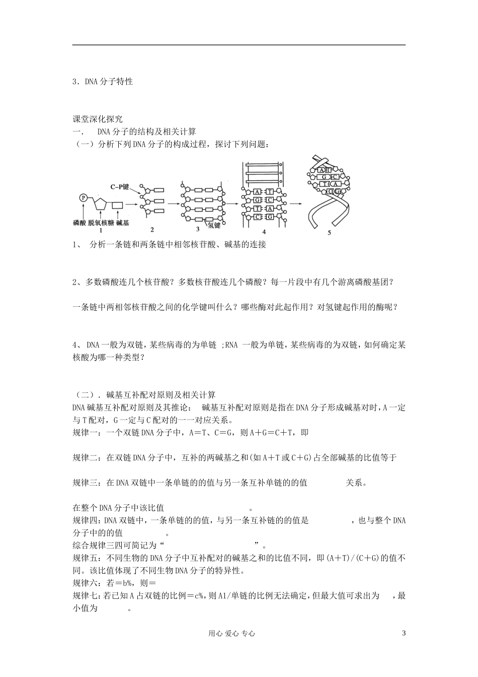 【赢在起点】2013届高考生物一轮复习 第六单元 DNA分子的结构、复制及基因学案_第3页
