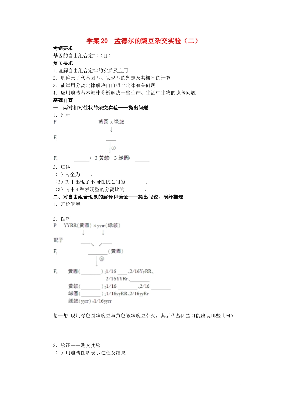 【赢在起点】2014高考生物第一轮复习（基础自查+对应训练+限时训练+高考真题体验） 第20讲 孟德尔的豌豆杂交实验（二）学案（含解析）_第1页