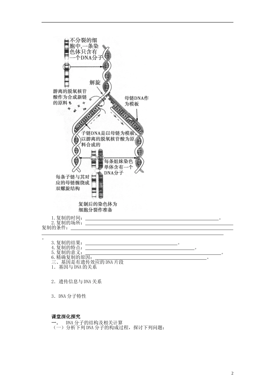 【赢在起点】2014高考生物第一轮复习（基础自查+对应训练+限时训练+高考真题体验） 第26讲 DNA分子的结构、复制及基因学案（含解析）_第2页