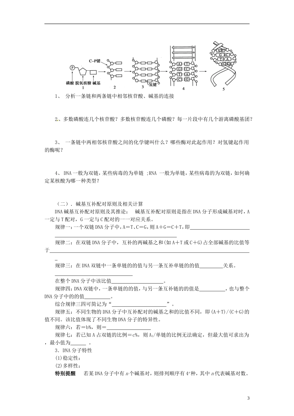 【赢在起点】2014高考生物第一轮复习（基础自查+对应训练+限时训练+高考真题体验） 第26讲 DNA分子的结构、复制及基因学案（含解析）_第3页