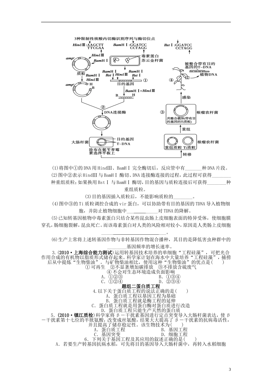 【赢在起点】2014高考生物第一轮复习（基础自查+对应训练+限时训练+高考真题体验） 第50讲 基因工程的应用和蛋白质工程的崛起学案（含解析）_第3页
