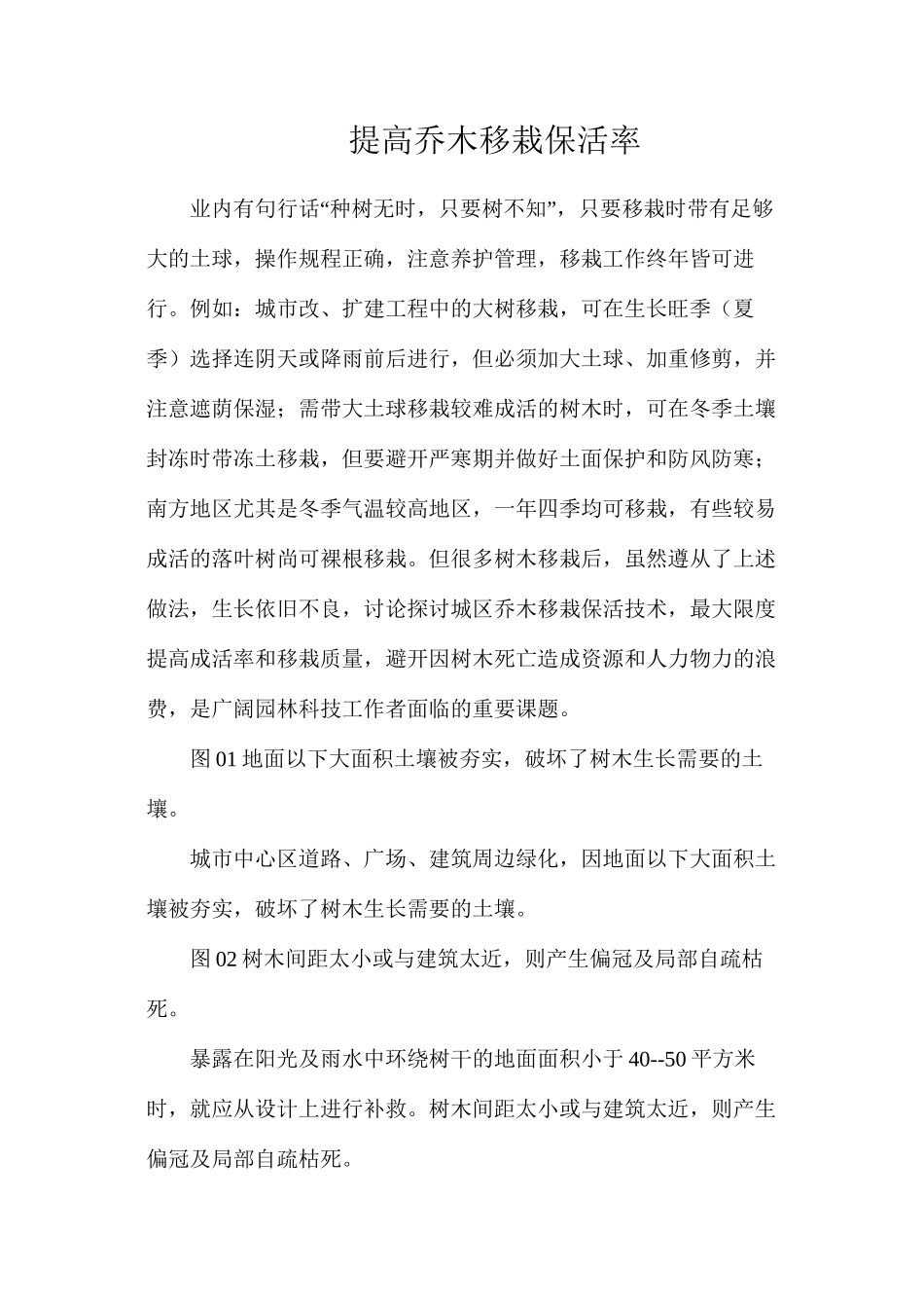 提高乔木移栽保活率_第1页