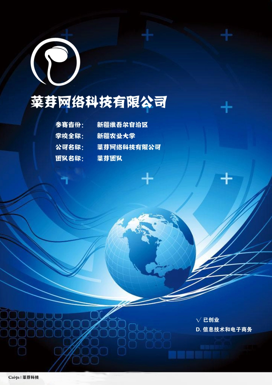 新疆农业大学 乌鲁木齐菜芽网络科技有限公司项目运营报告_第2页