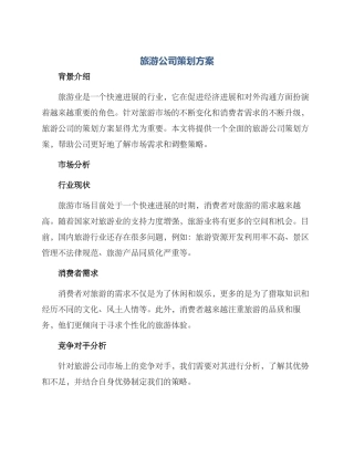 旅游公司策划方案