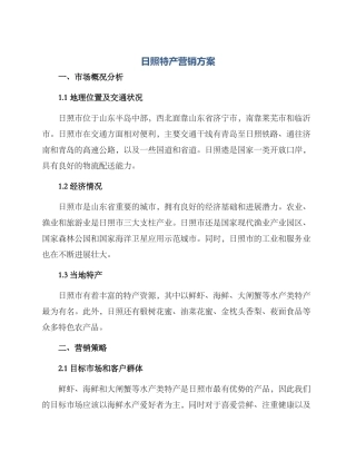 日照特产营销方案