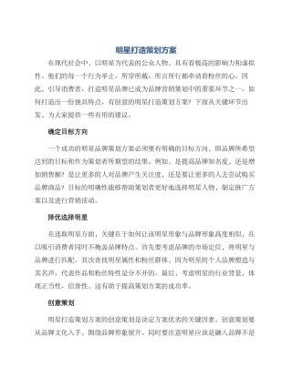 明星打造策划方案