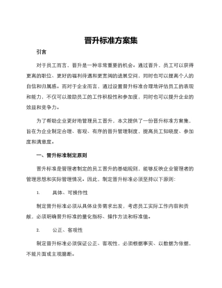 晋升标准方案集