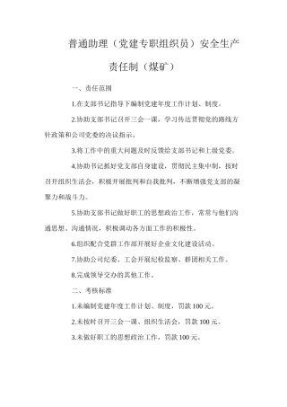 普通助理（党建专职组织员）安全生产责任制（煤矿）