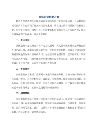 景区开业招商方案