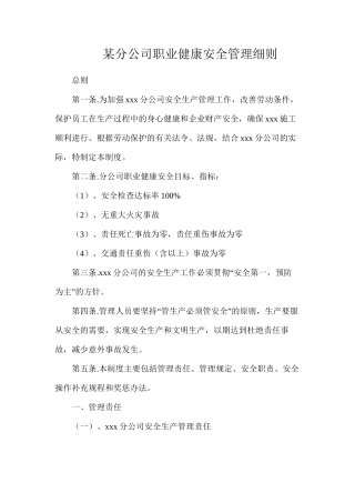 某分公司职业健康安全管理细则