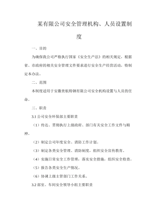 某有限公司安全管理机构、人员设置制度