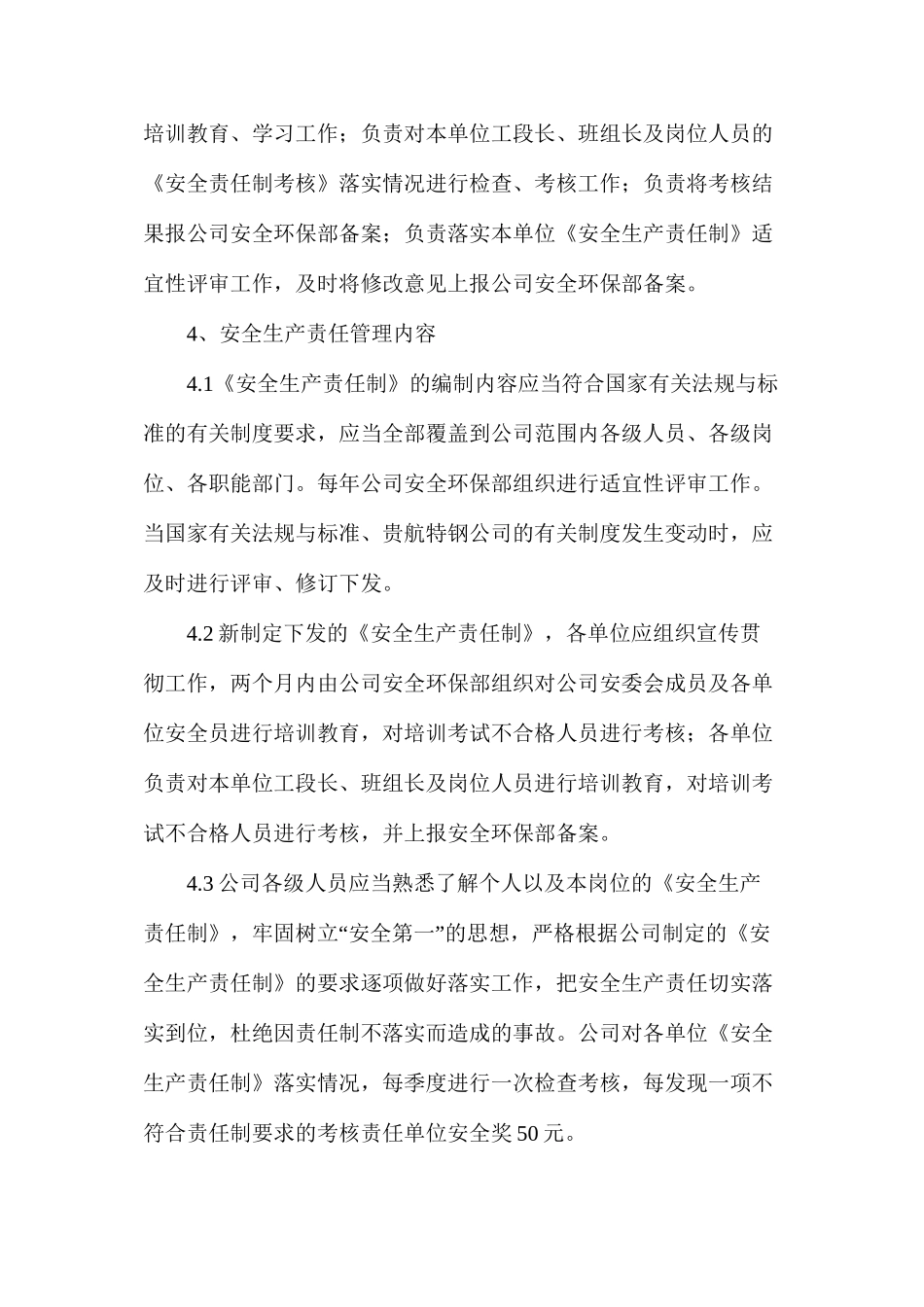 某有限公司安全生产责任制管理办法_第2页