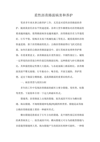 柔性沥青路面病害和养护