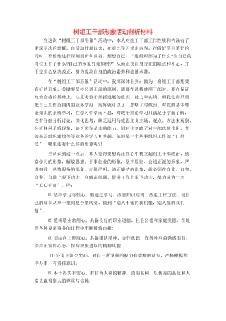 树组工干部形象活动剖析材料