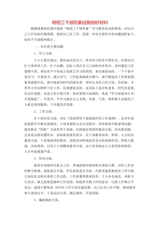 树组工干部形象自我剖析材料