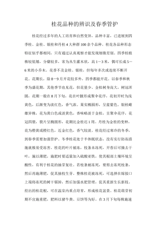 桂花品种的辨识及春季管护